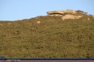 Ruinas militares de Lobateiras